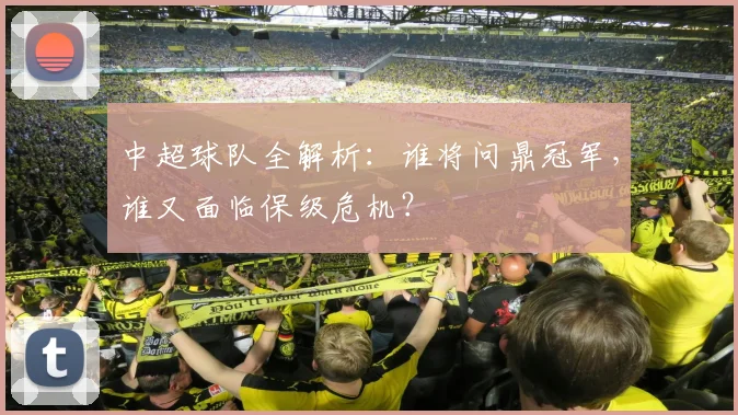 中超球队全解析:谁将问鼎冠军,谁又面临保级危机?