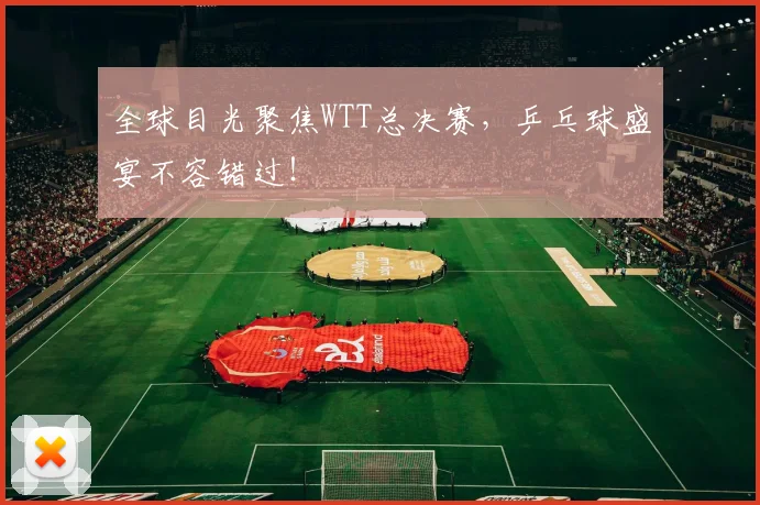 全球目光聚焦WTT总决赛，乒乓球盛宴不容错过！