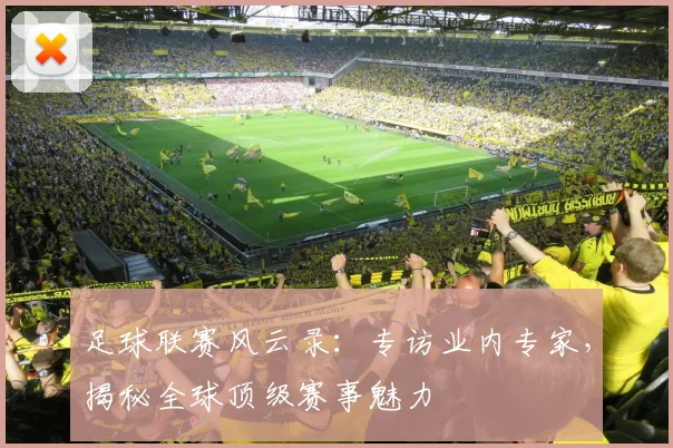 足球联赛风云录:专访业内专家,揭秘全球顶级赛事魅力